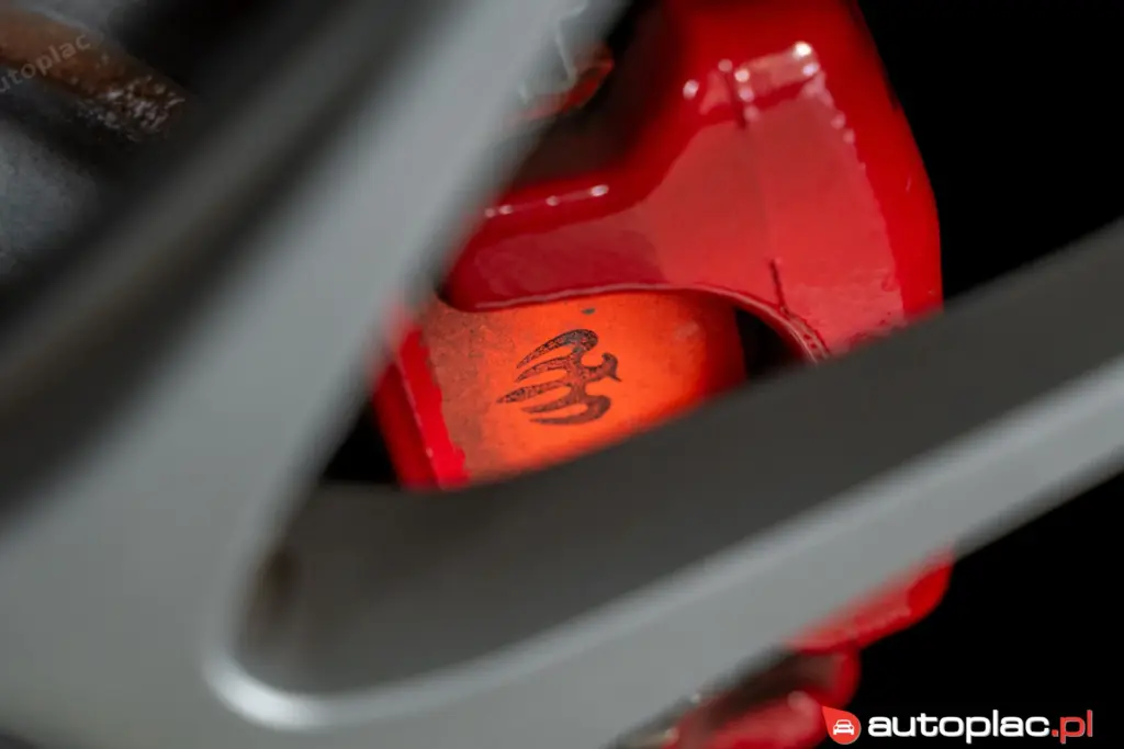Alfa Romeo 4C 1.8 Jedyna w kraju Launch Edition 27/200 limited - zdjęcie 29